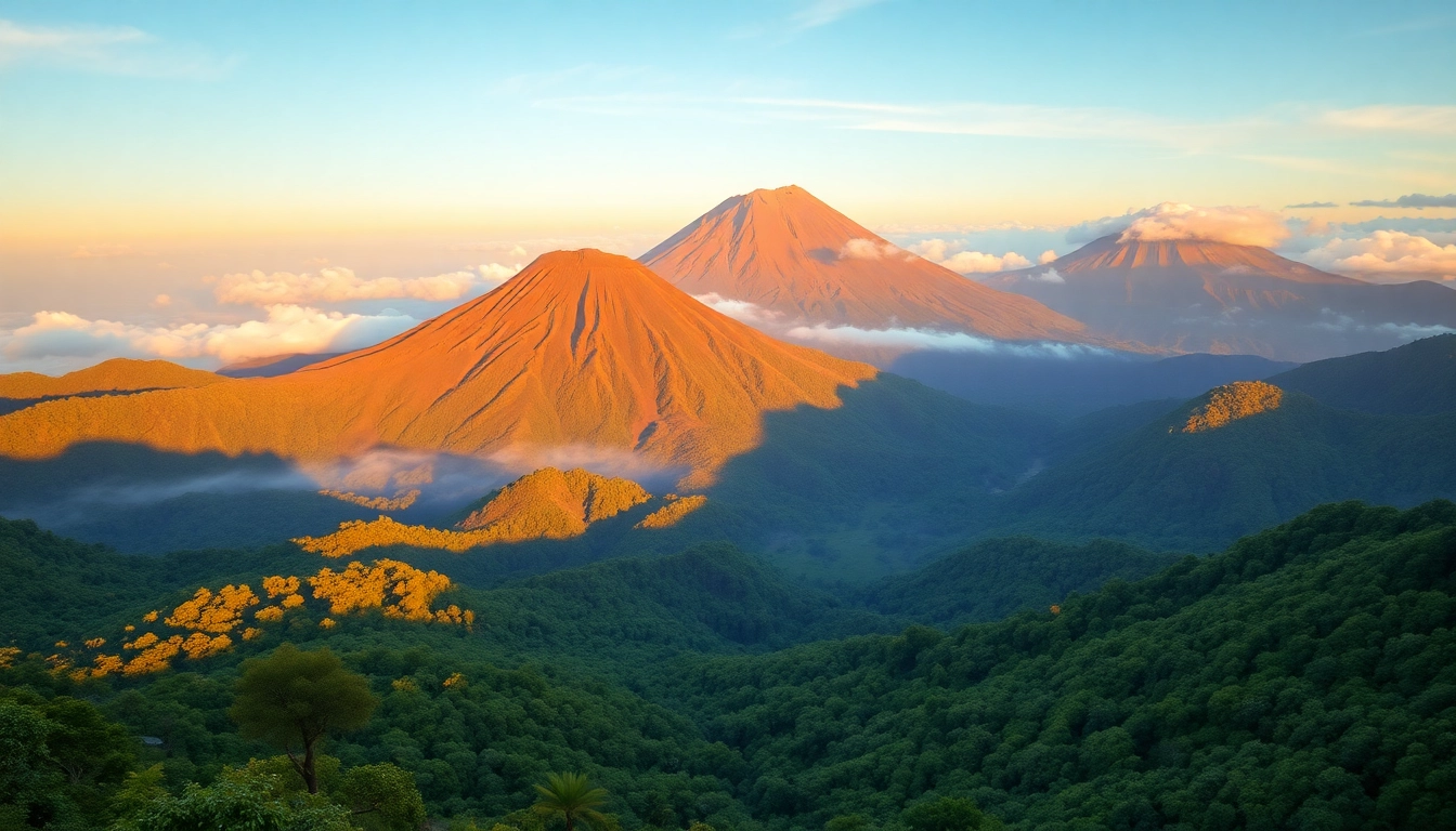 Majestic Mount Rinjani with volcanic crater, lush surroundings, and sunrise lighting, showcasing Indonesia's tallest active volcano for trekking enthusiasts and nature lovers.